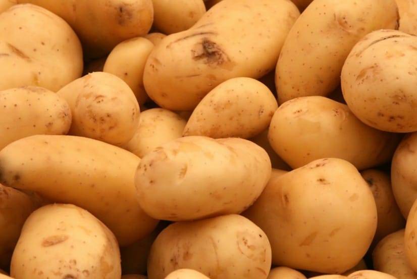 approved-gmo-potatoes