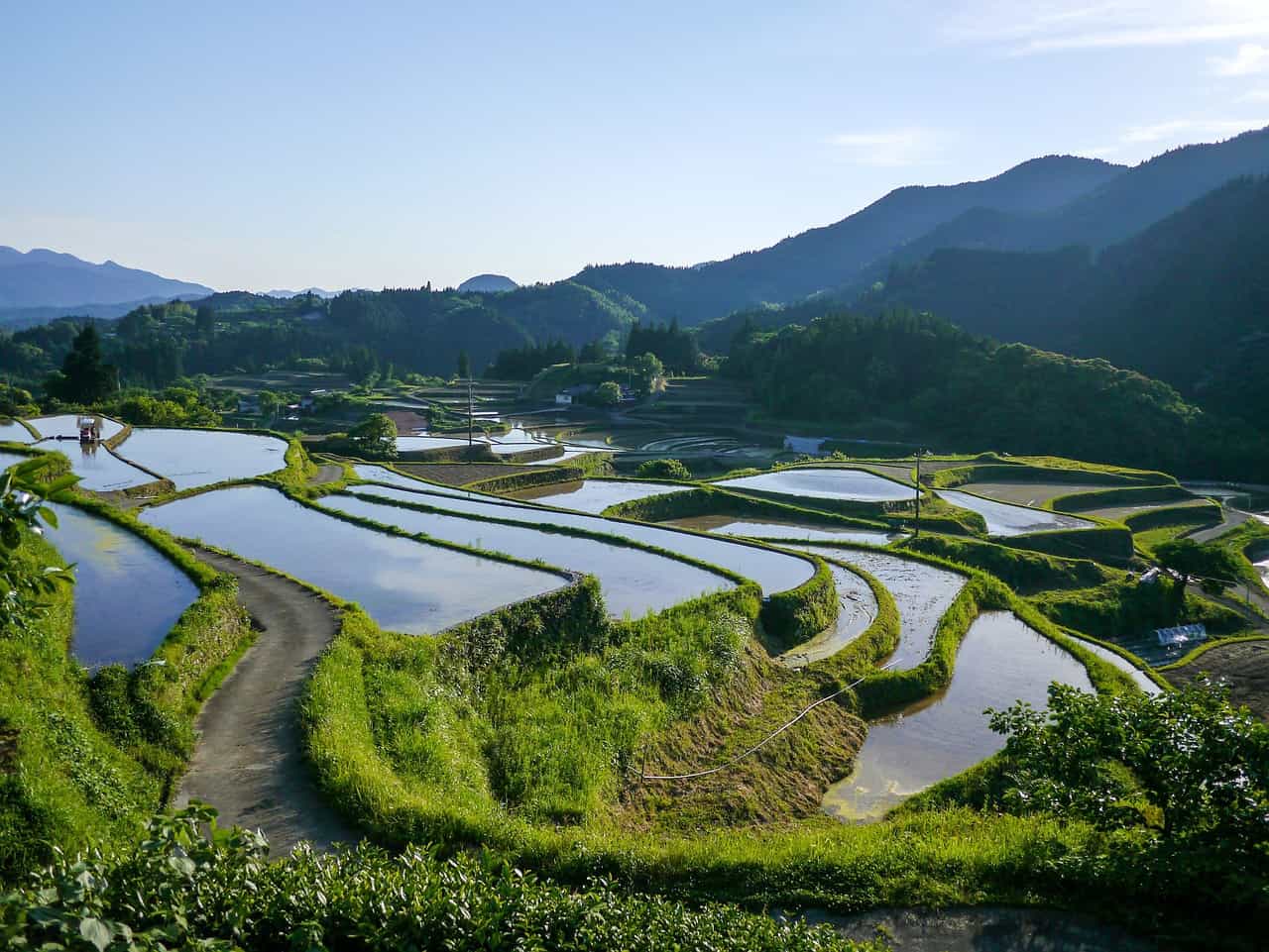 rice terraces in Japan
