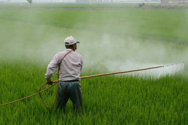 Glyphosate herbicid approved in the EU