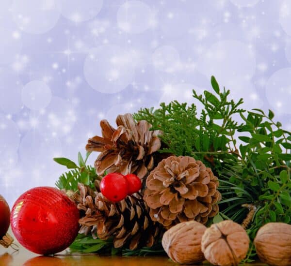 agricultural christmas traditions