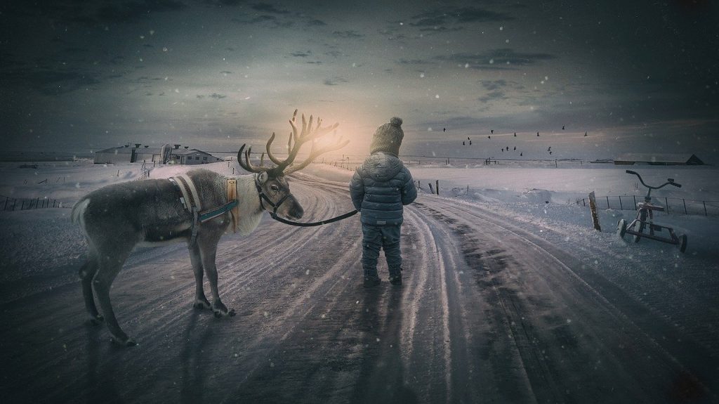 reindeer and people