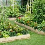 Set Up Your Garden Beds