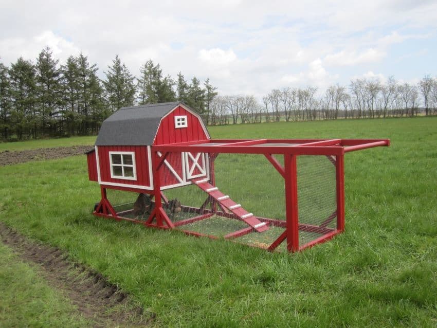 Barn-shaped Chicken Tractor