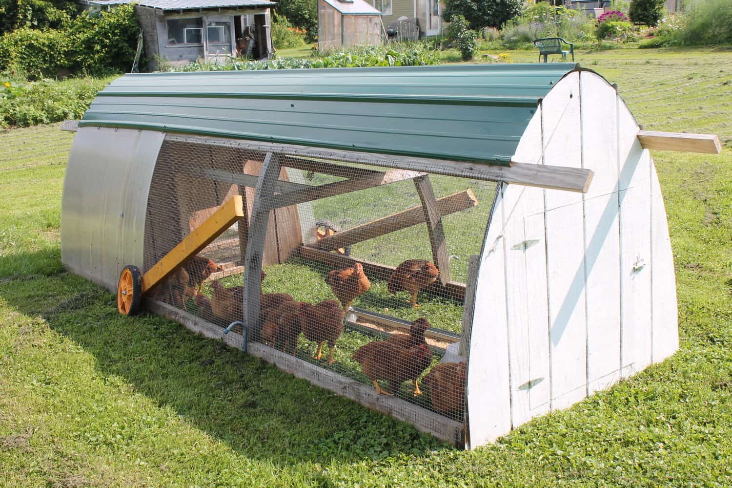 Cool Chicken Tractor
