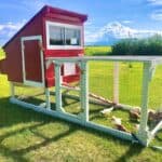Luxury Chicken Tractor on a budget