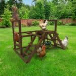 Chicken Playground with Treat Basket