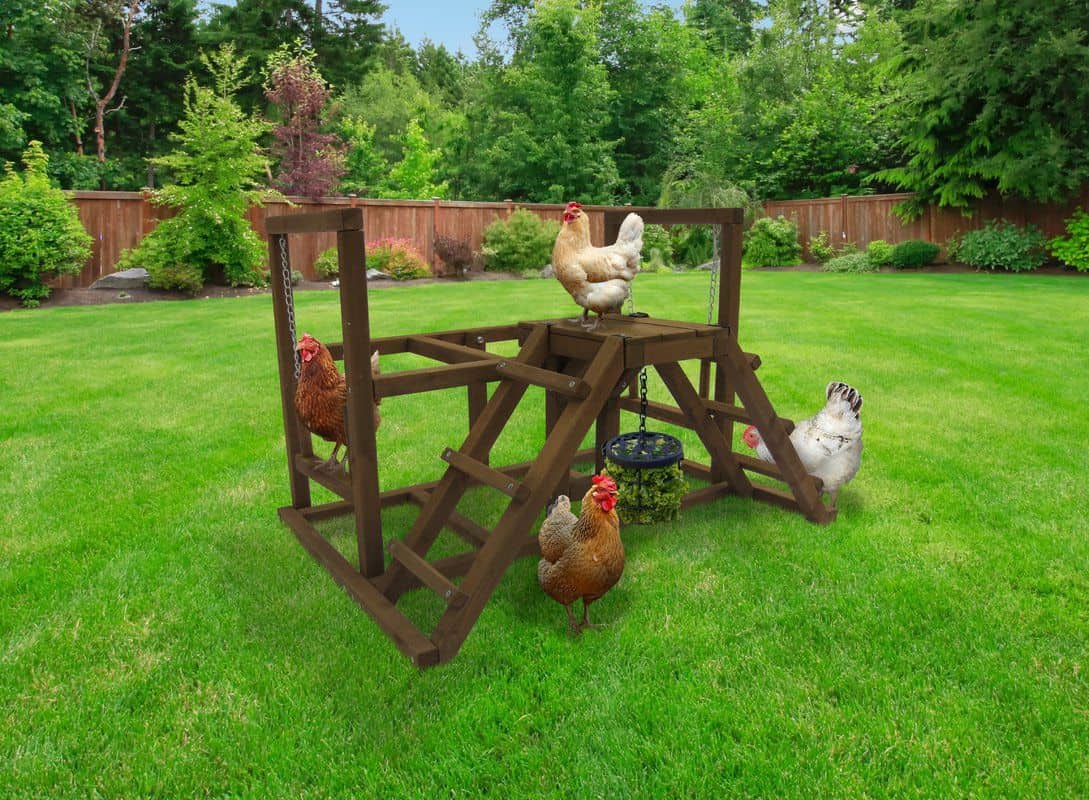 Chicken Playground with Treat Basket