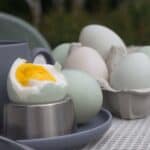 Cooking with Duck Eggs