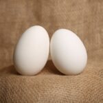 Health benefits of Duck Eggs