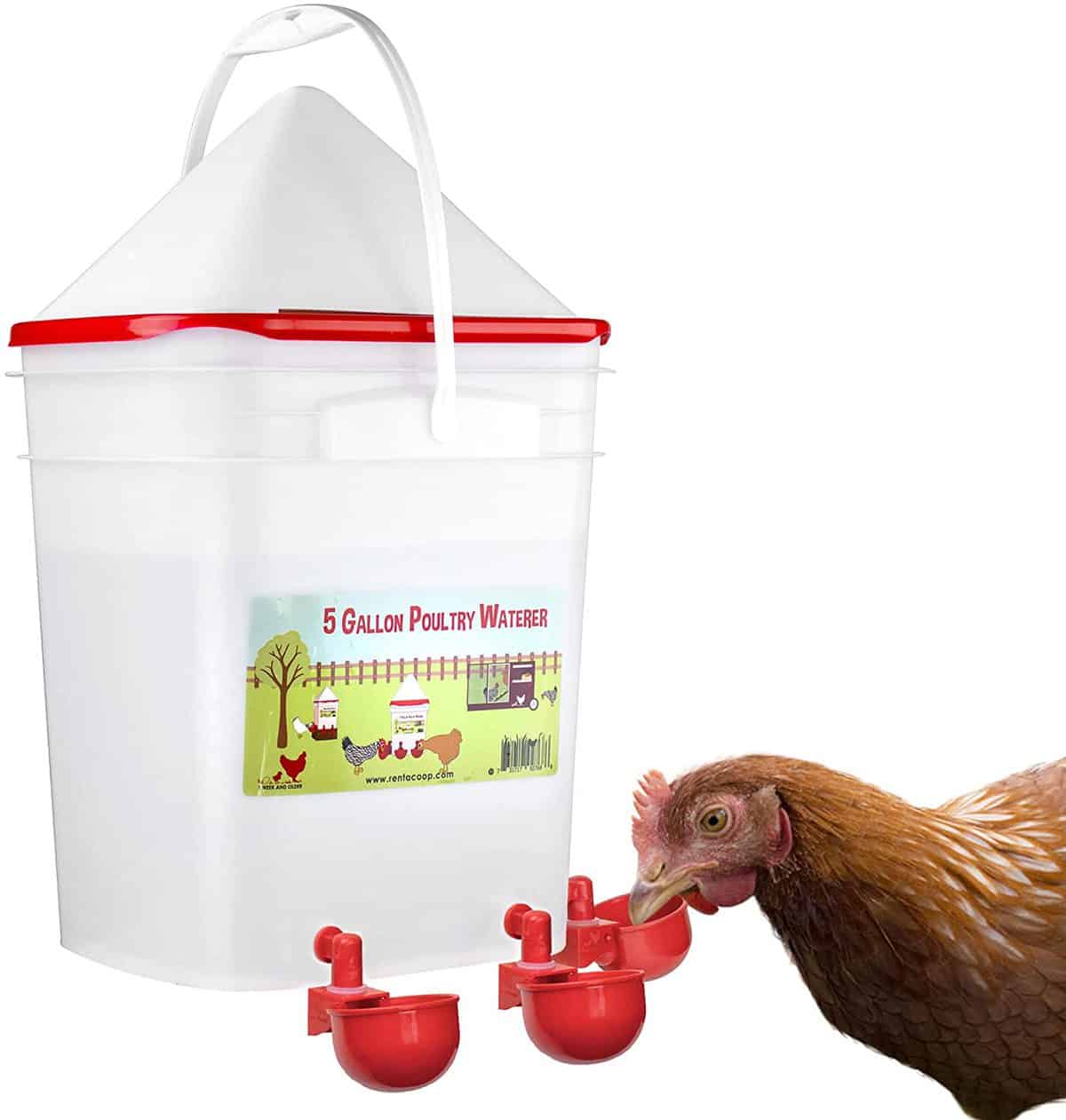 RentACoop 5 Gallon Water Cup Chicken Waterer