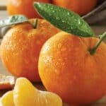 Tangerine Oranges