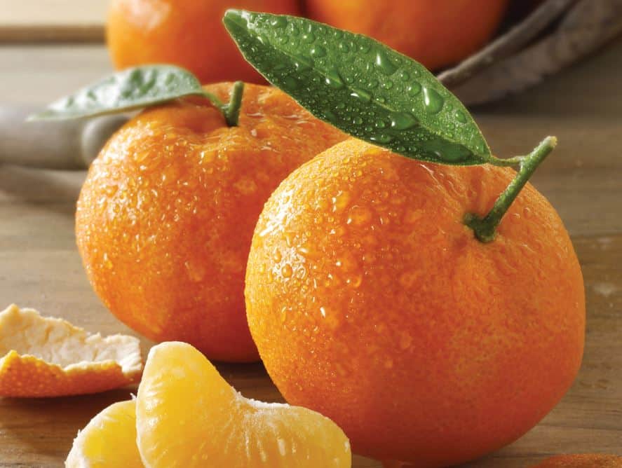 Tangerine Oranges