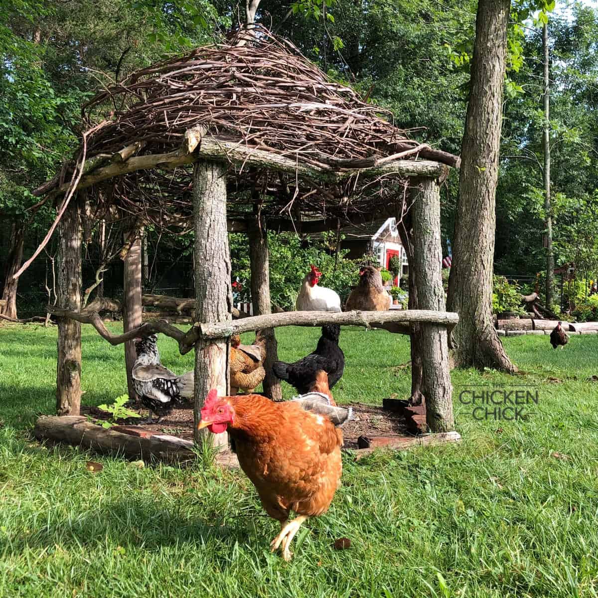 Tree Branch Gazebo