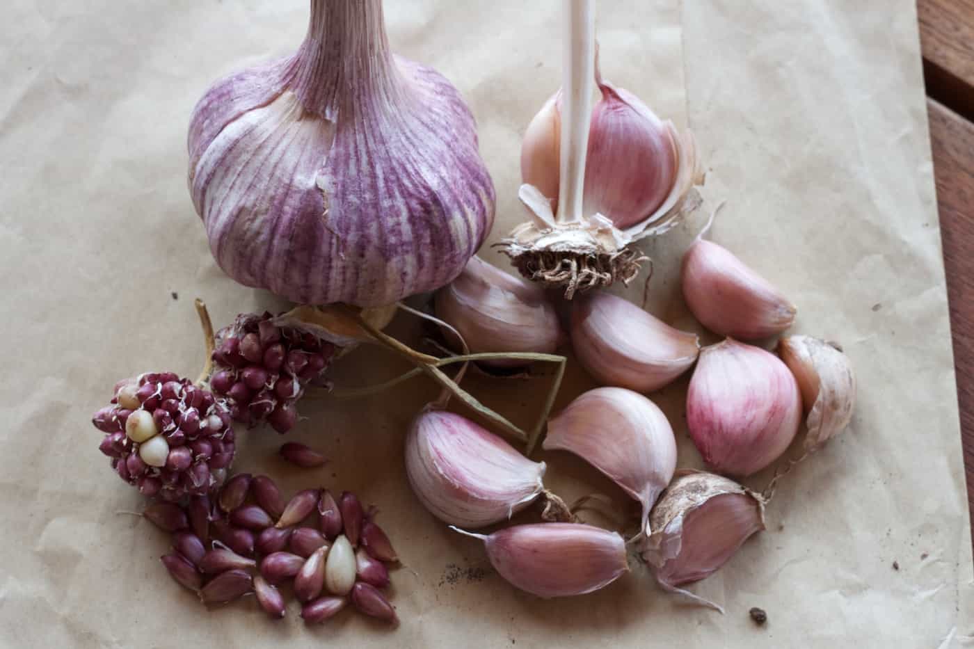 Asiatic Garlic