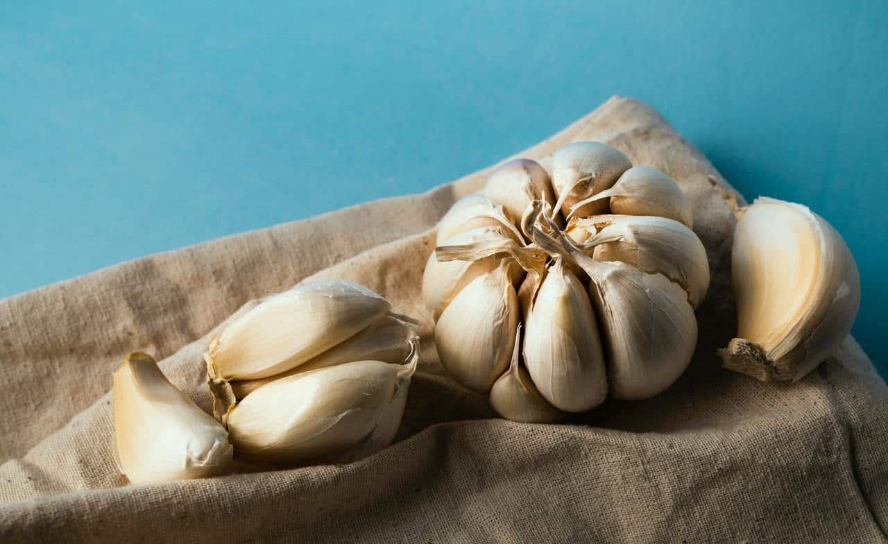 Garlic types