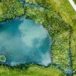 How Big Should Your Pond Be