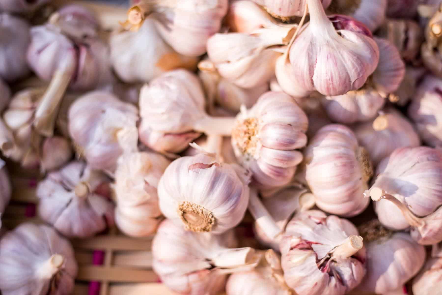 How Many Types of Garlic Are There