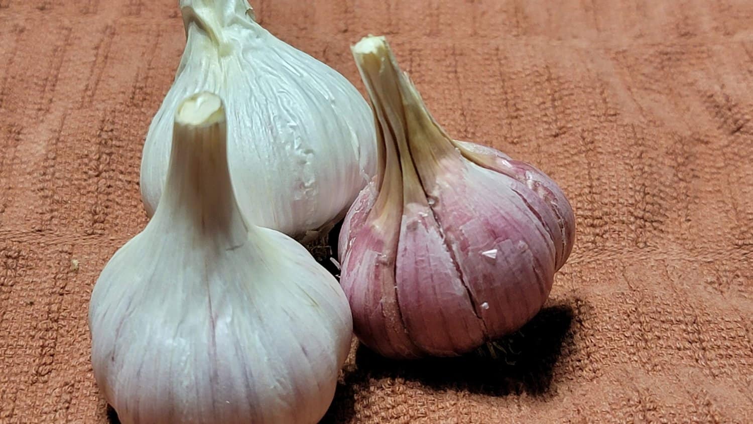 Vietnamese Red Garlic