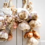 Which Type of Garlic is the Best