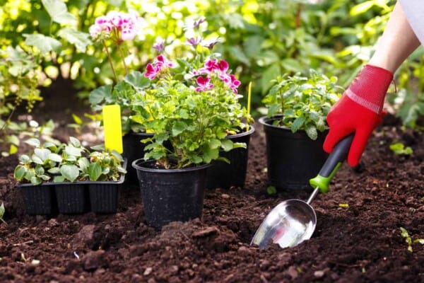 Best Gardening Tools