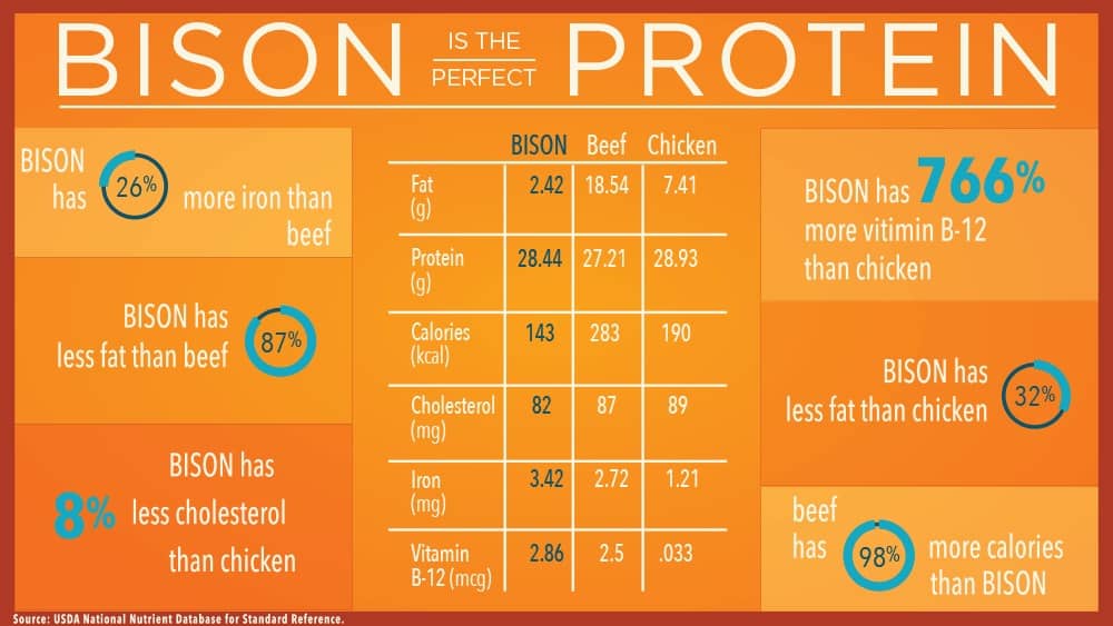 Bison Meat Nutrition