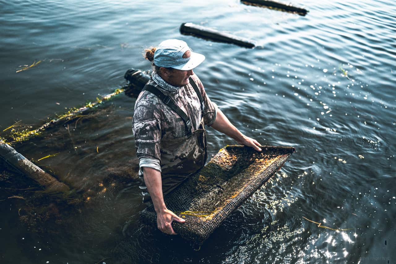 Oyster Farm