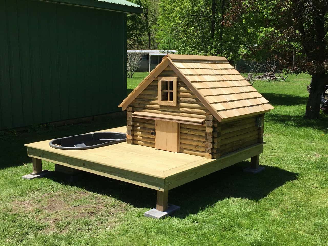 Duck Coops: 15 Tips To Design The Perfect Coop For Your Ducks
