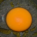 Goose Egg Taste