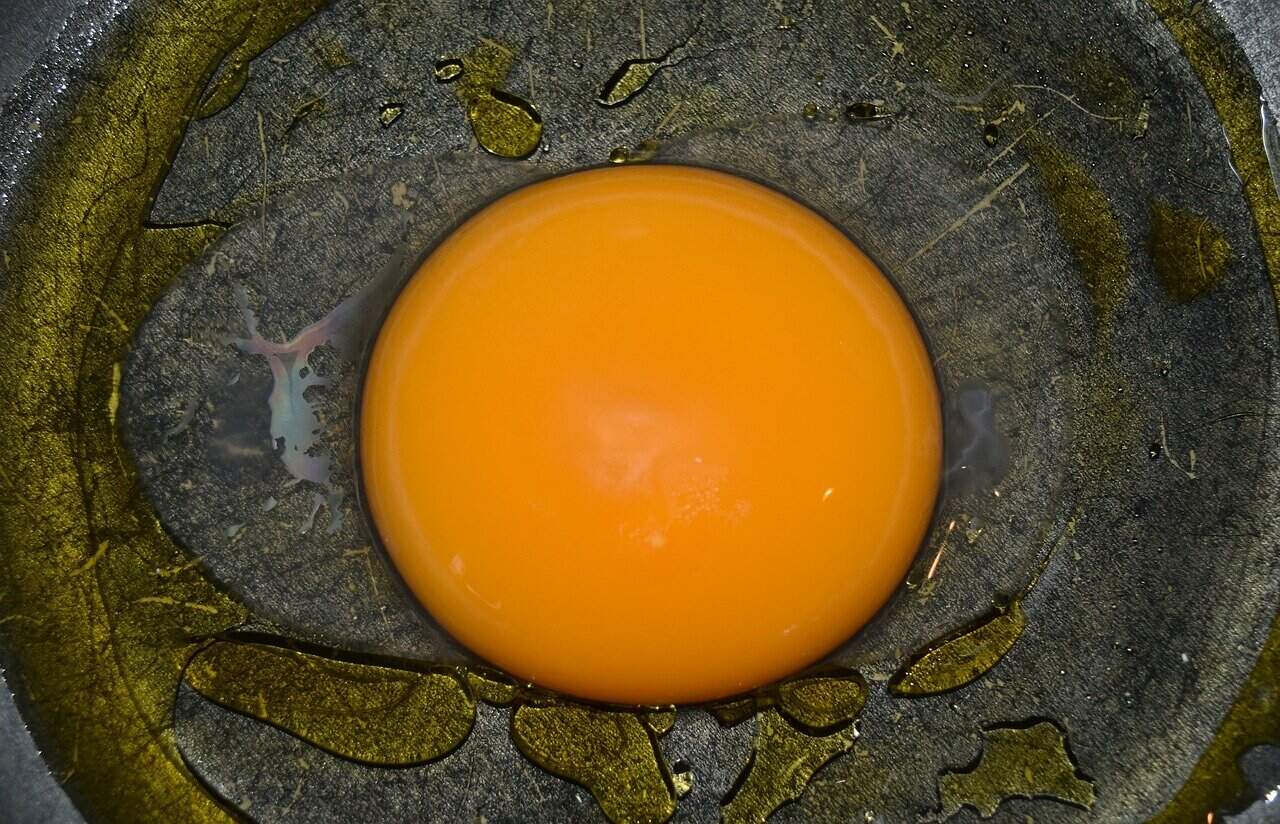 Goose Egg Taste