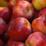 25 Different Apples You Should Know – Braeburn