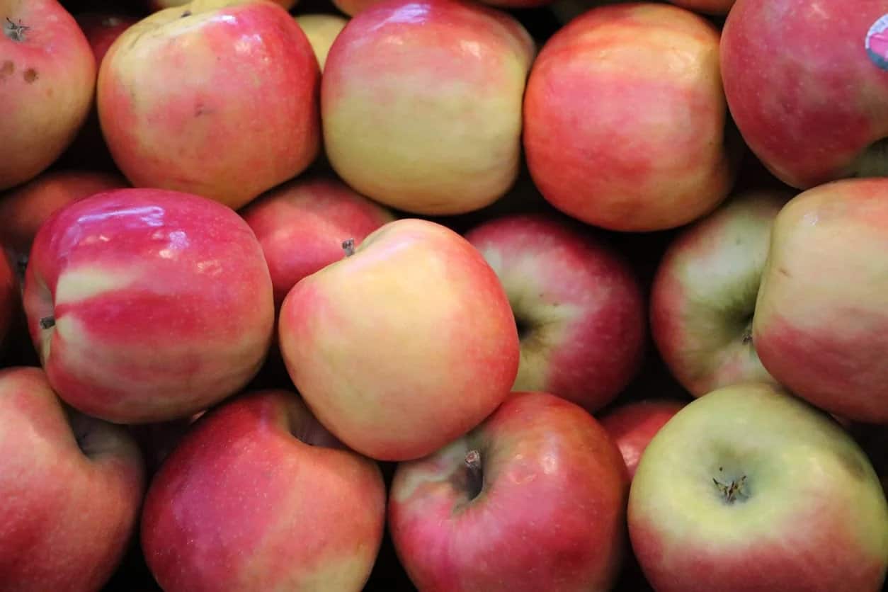 25 Different Apples You Should Know – Lady