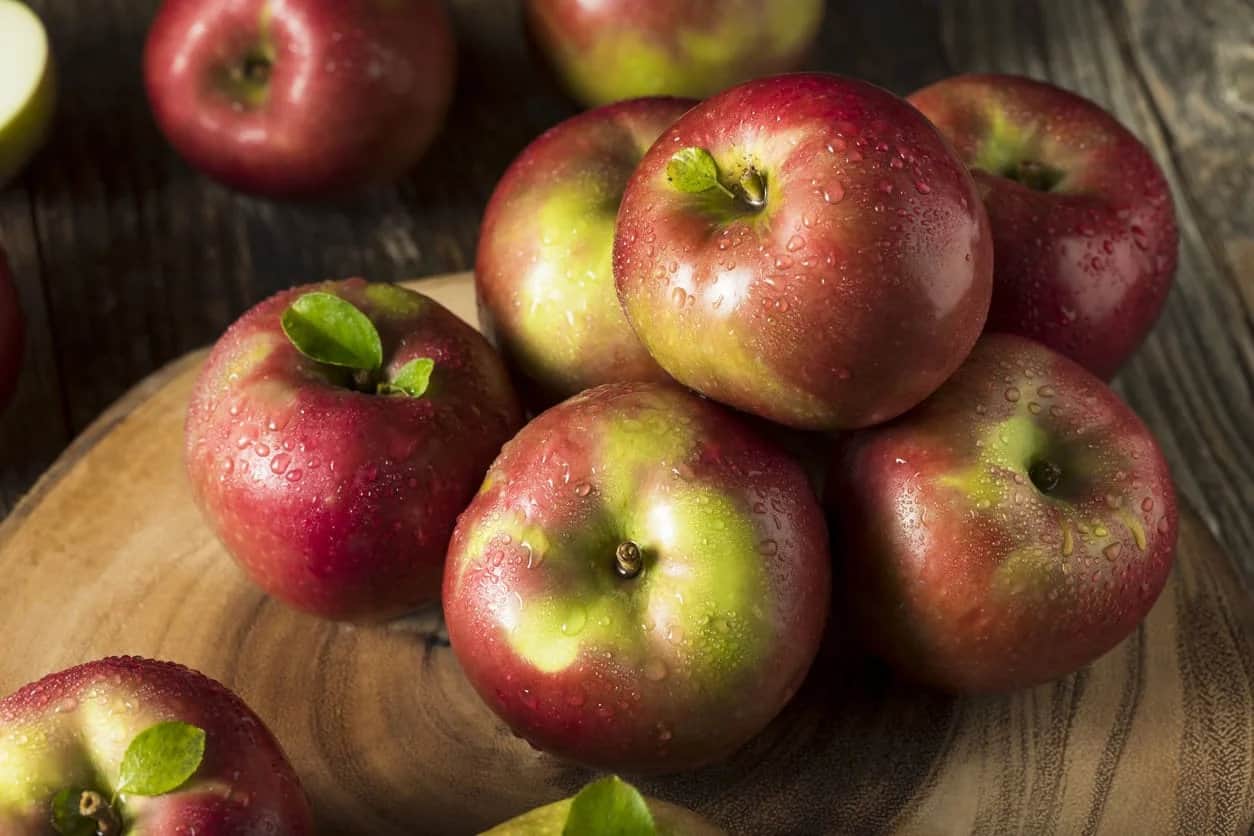 25 Different Apples You Should Know – Mcintosh