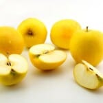 25 Different Apples You Should Know – Opal
