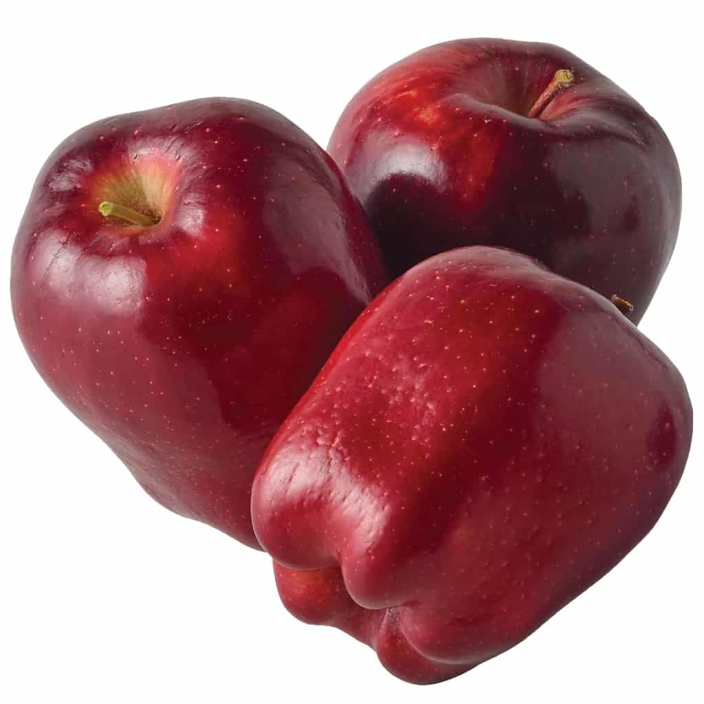 25 Different Apples You Should Know – Red Delicious