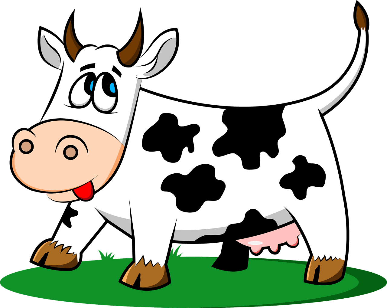 30 Interesting Cow Facts – Green House