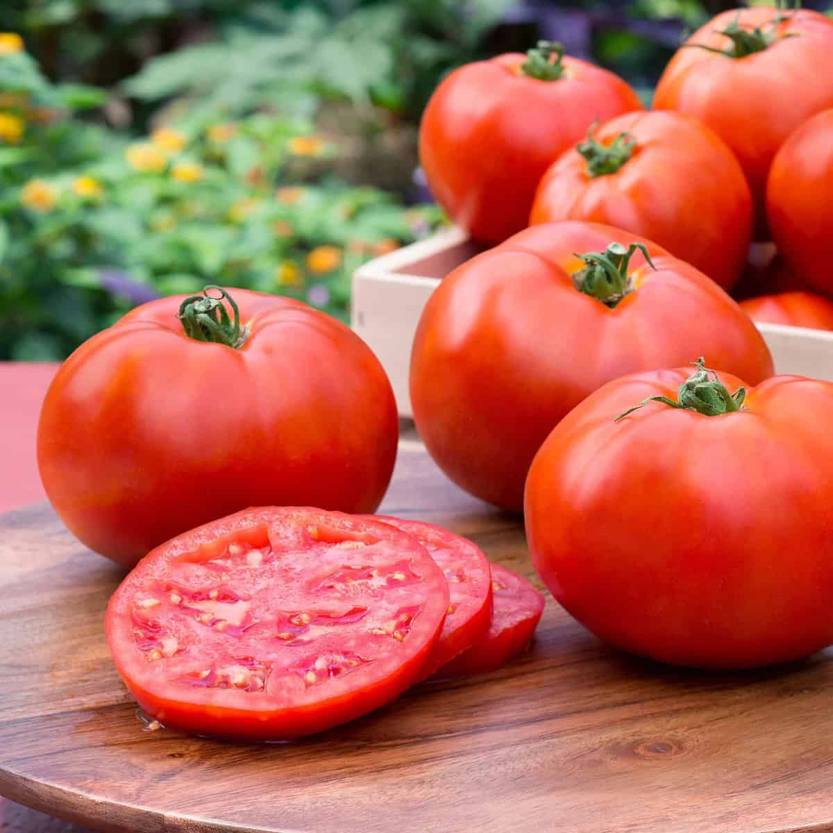 The 20 Best Tomato Varieties – Better Boy