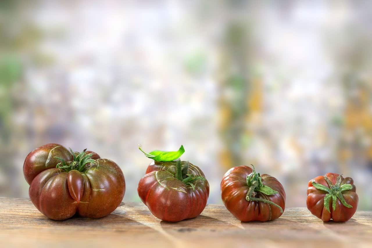 The 20 Best Tomato Varieties – Black Krim