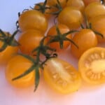 The 20 Best Tomato Varieties – Blondkopfchen