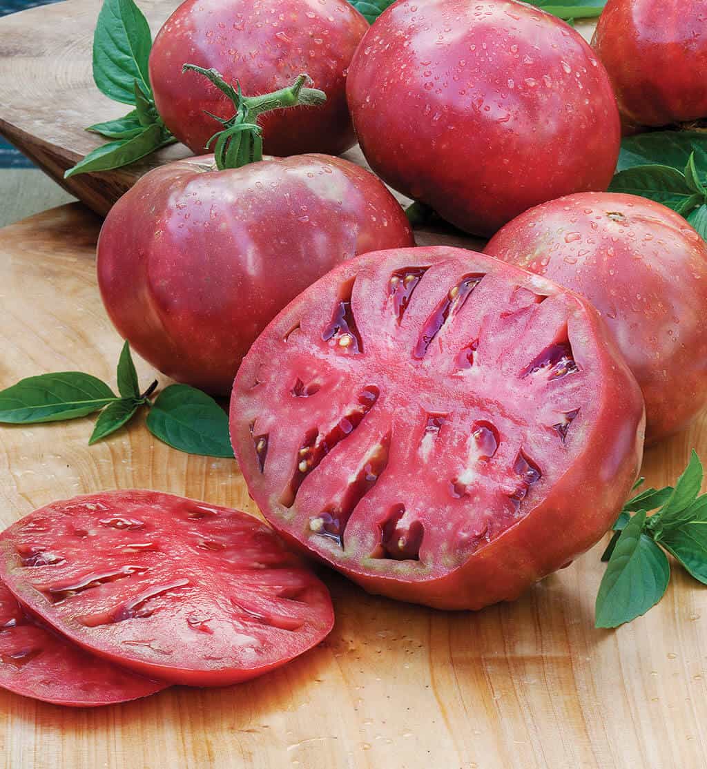 The 20 Best Tomato Varieties – Cherokee Purple