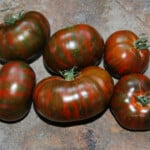 The 20 Best Tomato Varieties – Chocolate Stripes