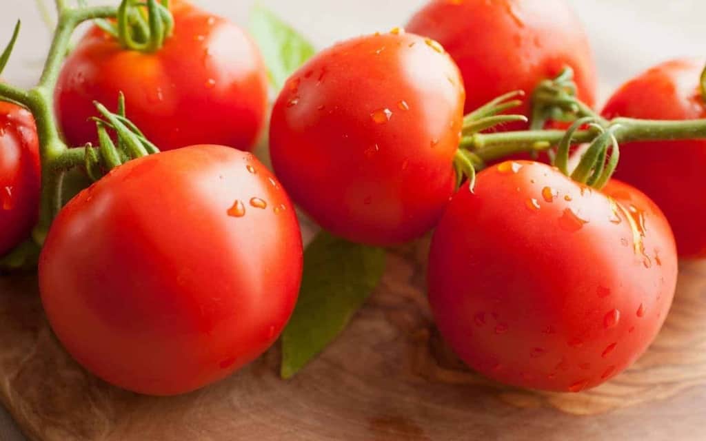 The 20 Best Tomato Varieties – Early Girl