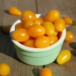 The 20 Best Tomato Varieties – Tomato ‘Ildi’