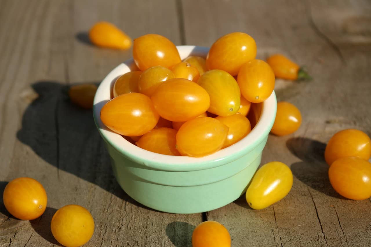 The 20 Best Tomato Varieties – Tomato ‘Ildi’