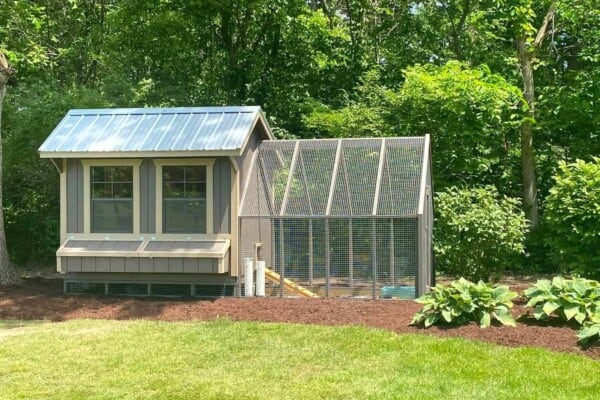 Duck Coops: 15 Tips to Design the Perfect Coop for Your Ducks
