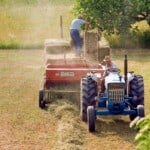 Cutting Hay methods