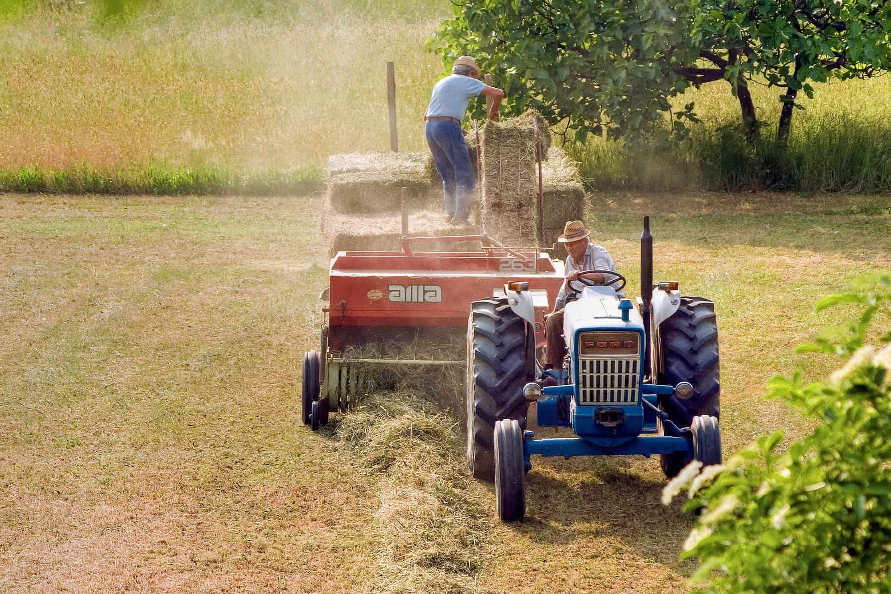 Cutting Hay methods