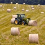 History of Hay