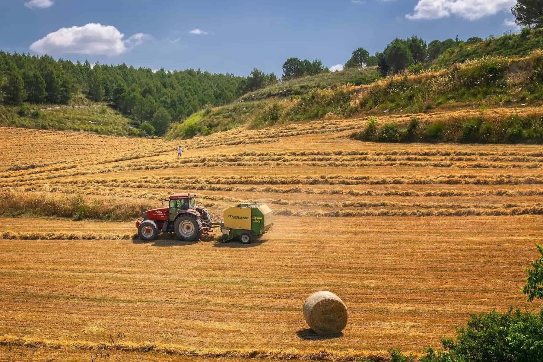 How Crops Become Hay