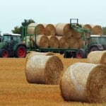 Interesting Facts About Hay