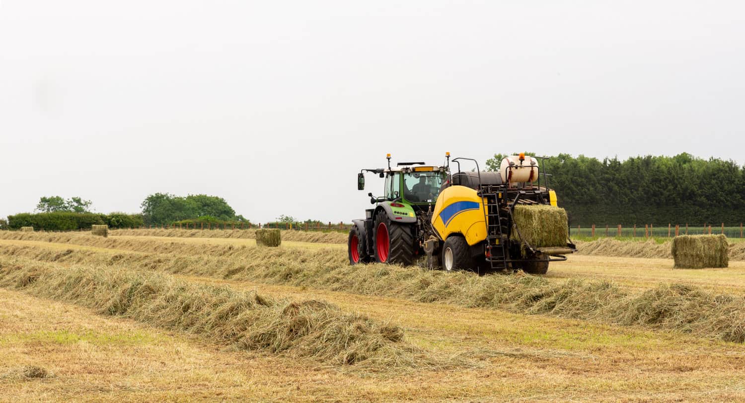 Stacking and Baling the Hay